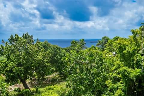 פורט אנטוניו Ackee Tree Sea View Villa מראה חיצוני תמונה
