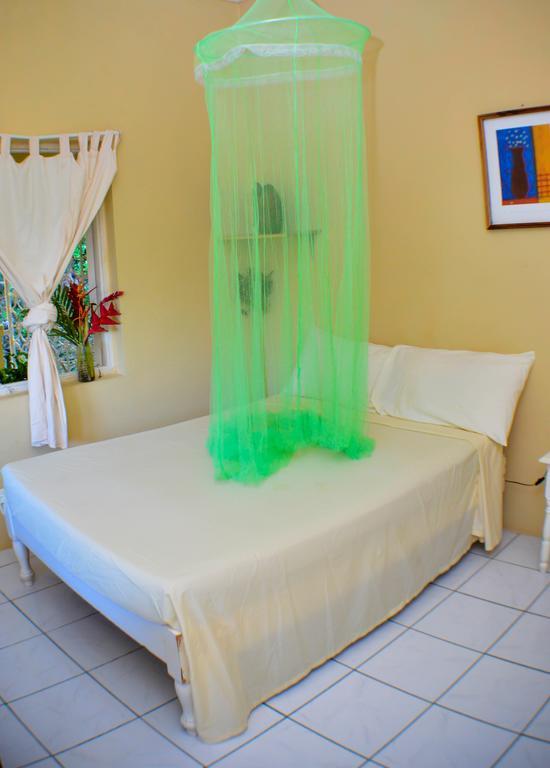 פורט אנטוניו Ackee Tree Sea View Villa מראה חיצוני תמונה