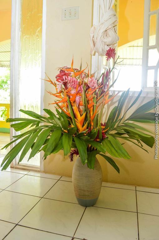 פורט אנטוניו Ackee Tree Sea View Villa מראה חיצוני תמונה