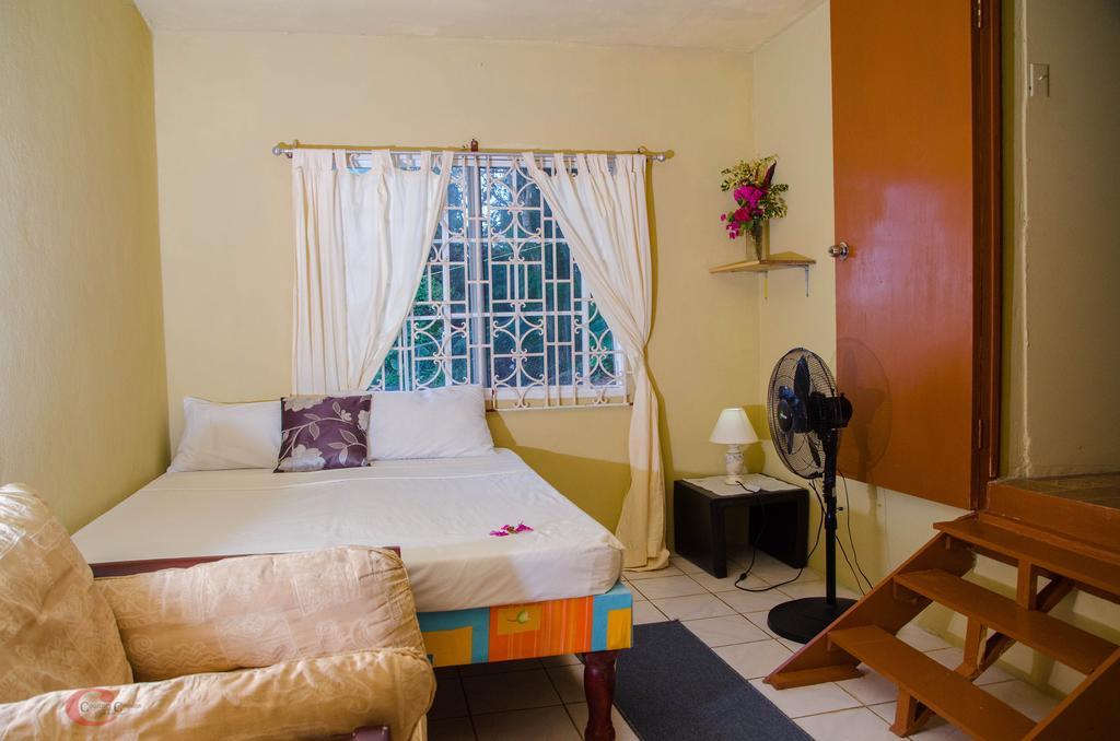 פורט אנטוניו Ackee Tree Sea View Villa מראה חיצוני תמונה